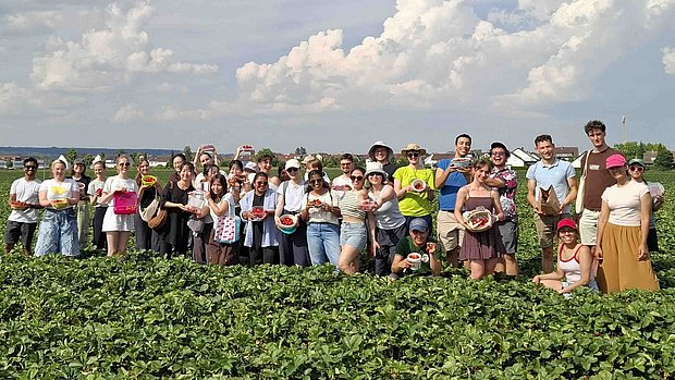 [Translate to English:] Strawberry Picking in 2026 Summer collaborating with Buddy Program
